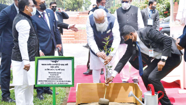 Modi-plants-an-Arjuna-sapling.jpg