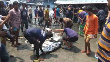 Body found-Final.jpg