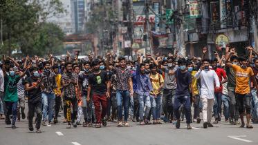 New Market 2 web.jpg