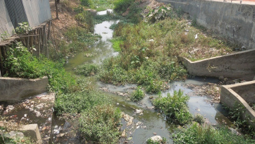 Pochanala-canal-Saidpur-municipality.jpg