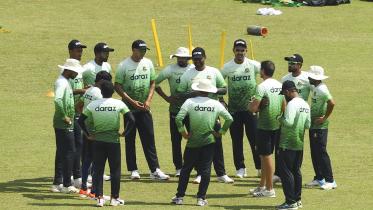 Tigers in practice .jpg