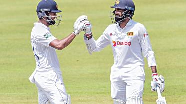Cricket-1.jpg
