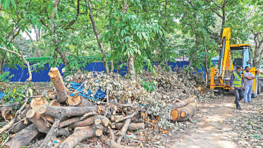 beautification 1.jpg