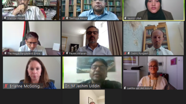 Photo of Rohingya Webinar.png