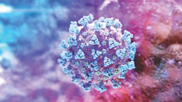 coronavirus_20 (1).jpg