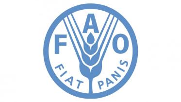 fao-logo.jpg