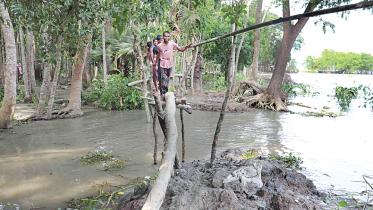 Pirojpur-without-protection-of-embankment.jpg