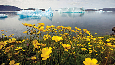Climate-change.jpg