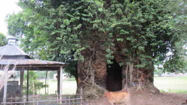 300 yr old Kurigram temple.jpg