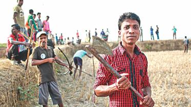A Fight for Land and Livelihood