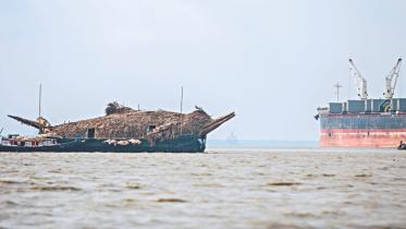A JOURNEY BY BOAT, FOR DOLPHINS
