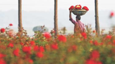 A trip to Golap Graam