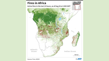 africa fire.jpg