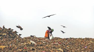 environment pollution