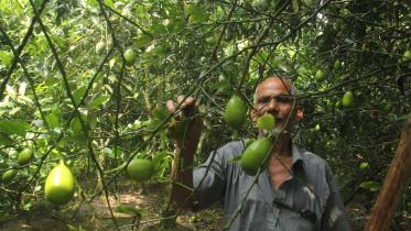 Amir Hossain Mia.jpg