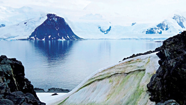 Antarctica-green.jpg
