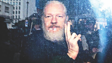 Assange probe.jpg
