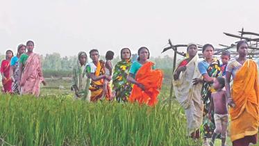 attack on santals 1.jpg