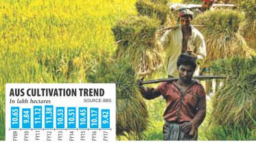 Aus acreage falls.jpg