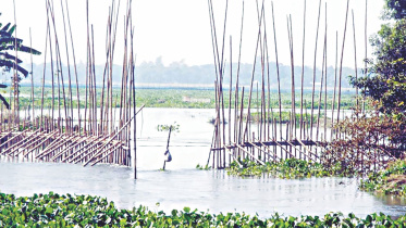 Bamboo barriers.jpg