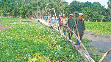 bamboo bridge.jpg