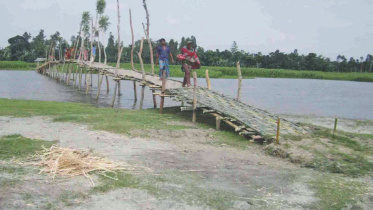 bamboo bridge.jpg