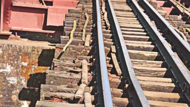 bamboo on railtrack.jpg