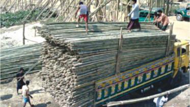 bamboo paper mill 11.jpg