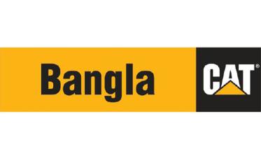 banglacat.JPG