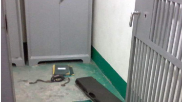 Bank robbery foiled.jpg