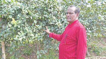 banker turns farmer.jpg