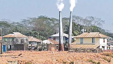 barguna bricklin 1.jpg