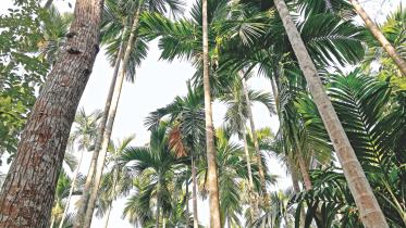 Barishal the unspoilt