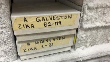 bbc-zika-frozen-in-lab-2-web.jpg