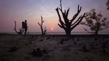 Beatuful Bangladesh new.jpg