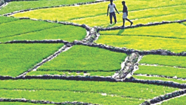 beautiful bangladesh 1.jpg