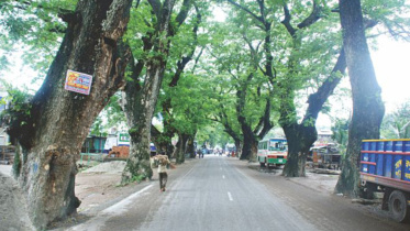 Benapole-Jessore highway.jpg