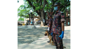 Benapole Photo-wb.jpg