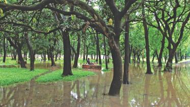 Beyond The Four Walls