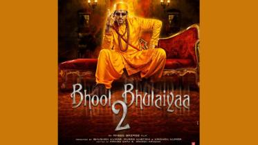 Bhool Bhulaiyaa 2.jpg