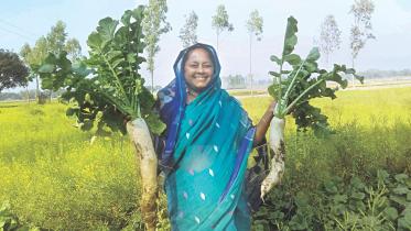 Organic Foods in Bangladesh