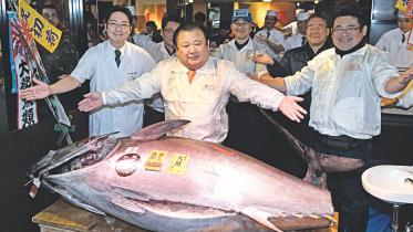 big tuna fish.jpg