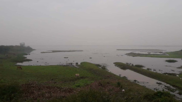 birds Baikka Beel 1.jpg