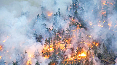 Bobcat-Fire-burns-USA.jpg