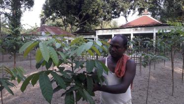 Bolairpat village.jpg