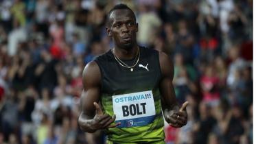 Bolt.jpg