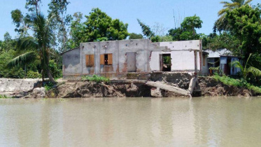 Bonsai River devours.jpg