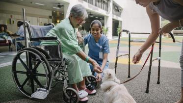 a cat during a therapy session
