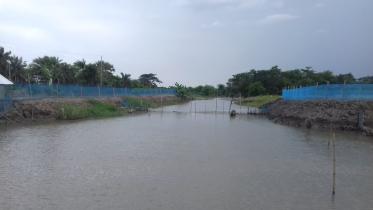 Botiaghata Fish enclosures.jpg