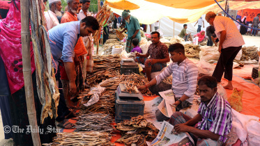 Brahmanbaria_Dry fish fair_Pic_01.jpg